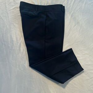 Loft Marissa Cropped Pants 10P